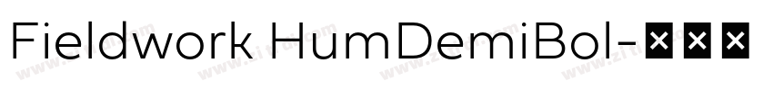 Fieldwork HumDemiBol字体转换